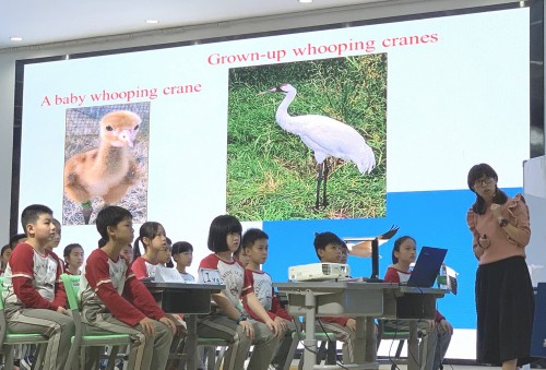 1961 20190326120705 5554382626403422993159426786729629752229888o