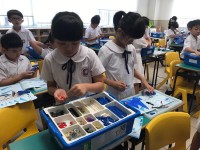 1175 20170914185838 IMG1346