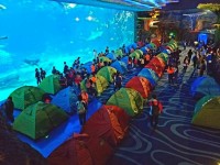 1321 20171212120507 2485239619728710860630706710466052046494001n