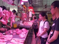 1666 20180910191157 414572548981370370642101370526782867898368n