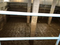 2095 20190523211529 6101783427449893355179046014147150156398592o