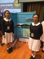 1043 20170521171024 18519921101554556417384478731778592806410319n