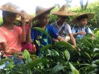 1629 20180730155159 378381802258068547543321323153794617573376o