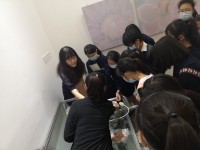 2674 20201130113050 12718315541365674596934114361448425865384950o