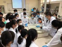 3069 20210716183901 WhatsApp Image 2021 07 16 at 16.49.56 2