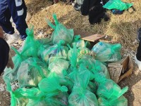 3228 20220103091545 22010311