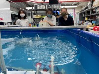 3499 20220620114831 22062002