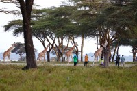 3616 20221012092657 202210125