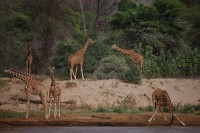 3616 20221012092657 202210126