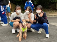 3659 20221024103249 202210244