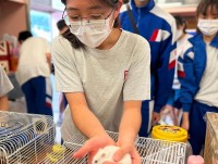 3659 20221024103249 202210245