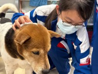 3659 20221024103249 202210246