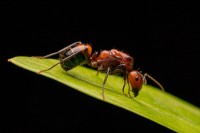 3706 20221118121323 4