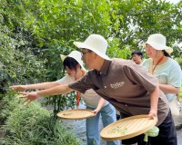 4239 20230708123926 8