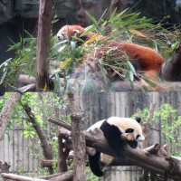 4239 20230708123951 11