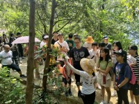 4264 20230720150039 2