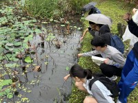 4462 20231012152433 6