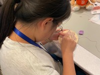 4474 20231016103323 6