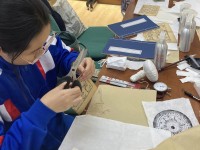 4635 20231204094050 4