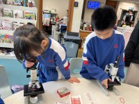 4892 20240318085453 14