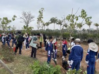 4894 20240318090053 5