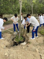 5055 20240510114349 4