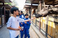 6685 20260110141937 3