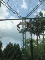 731 20160728141113 DSCF4225