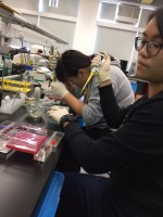 901 20170120120036 02