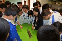 947 20170321143500 DSC8097